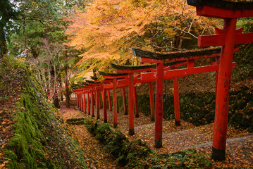 出石城跡の紅葉