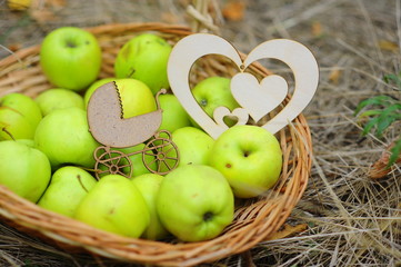 корзинка с яблоками, беременность, пинетки, яблоки