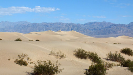 Fototapeta na wymiar Sand Dunes at Death Valley, USA