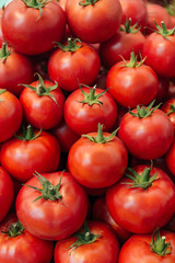 Pile of red tomatoes