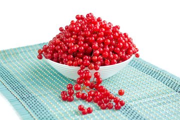 Red guelder rose berries in white plate on blue underlay