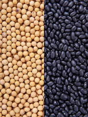 Mixture of beans food  background