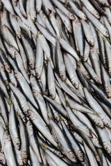 Obraz premium Pile of sprats