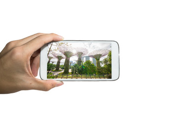 Holding smart phone for capture, Take a photo of Garden by the b