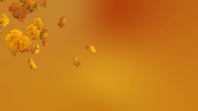 falling autumn leaves (Loop)