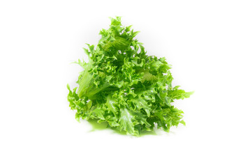 vegetable salad leaf isolated on white background. From Hydropon