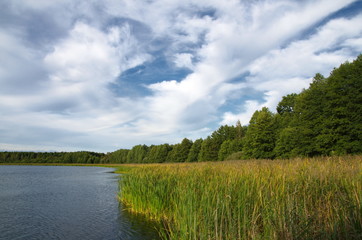 Riebener See (Naturpark Nuthe-Nieplitz)