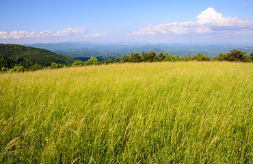 Obraz premium Blue Ridge Parkway