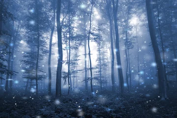 Zelfklevend Fotobehang Artistieke blauwe kleur mistige bos boom sprookjeslandschap met abstracte vuurvliegjes. © robsonphoto