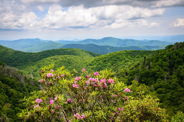 Obraz premium Blue Ridge Parkway