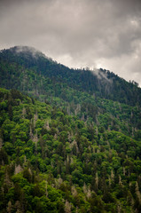 Great Smoky Mountains National Park