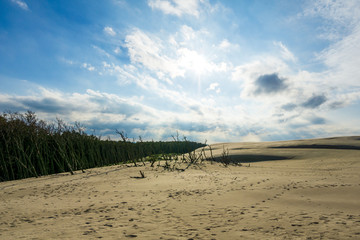 Fototapeta na wymiar Sand dunes near a sea shore