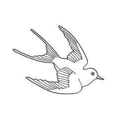Contour image of bird flying hand drawn