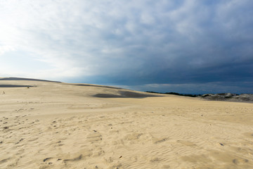 Fototapeta na wymiar Sand dunes near a sea shore