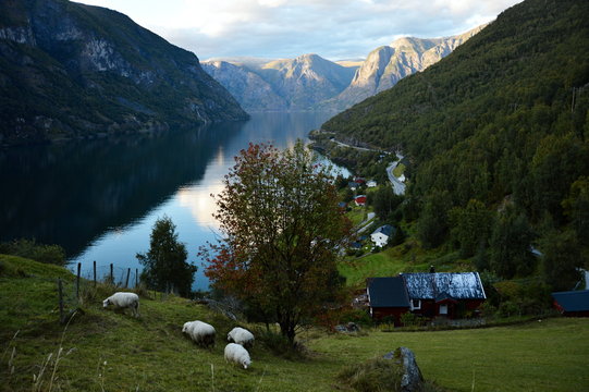 Otternes village near Flam in Sognefjord in Norway