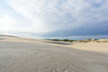 Sand dunes near a sea shore