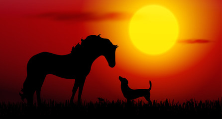 Fototapeta premium dog and horse