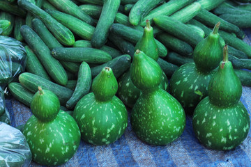 Bottle gourd