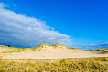 Sand dunes near a sea shore