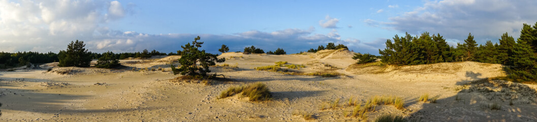 Sand dunes near a sea shore