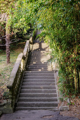staircase in the southern park