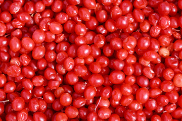 red viburnum, viburnum berry, raw viburnum, viburnum background, viburnum photo, viburnum texture, autumn viburnum, viburnum macro, viburnum branch, red viburnum berry