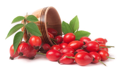 rosehip berries in a wooden bowl isolated on white background