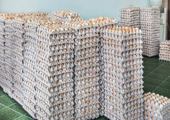 Stacked of eggs in paper trays package 