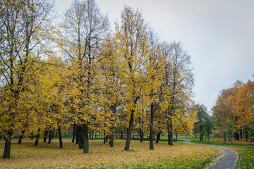 Fall in the city park