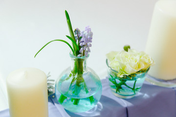 A closeup of a violet flower put in a glass jag