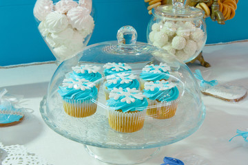 Pretty little cupcakes with blue cream and white glaze snowflake
