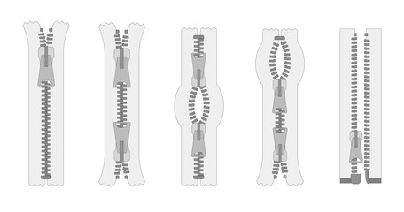 Vector set of zippers and fastener. Schematic isolated illustration of different types of zippers in a closed and opened positions. Metal or plastic clasps. Clothes accessory.