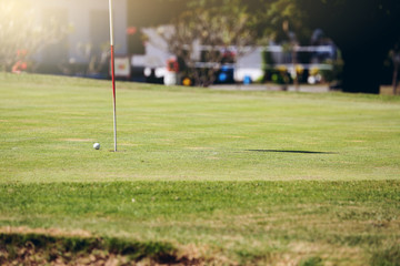 Fototapeta premium Golf ball on the lawn, green