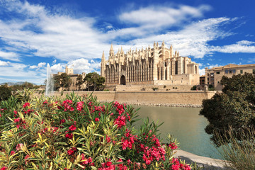 XXX - Palma de Mallorca - Kathedrale "La Seu"  - 2599 © Wolfgang Jargstorff