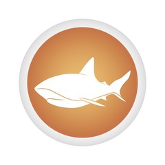 shark icon vector