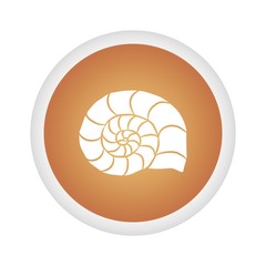 shell icon vector