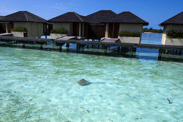 Paradise islands in Maldives