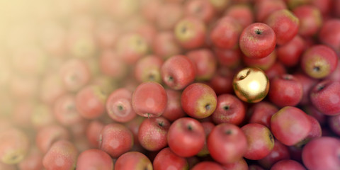 Golden apple standing out from the crowd