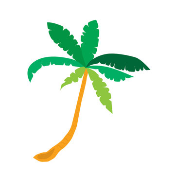 palm tree tropical isolated vector illustration