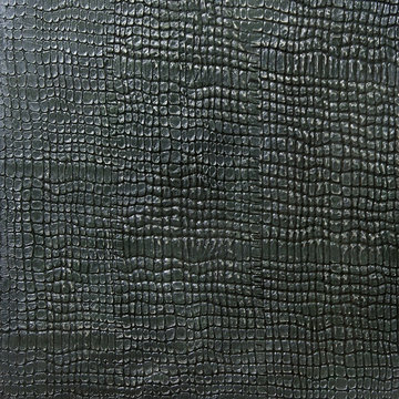 relief plaster texture with imitation crocodile skin