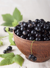 Black currants in a ceramic bowl on the white wooden table