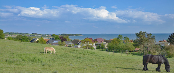 Fototapeta premium Idylle in Klein Zicker im Mönchgut Biosphärenreservat,Insel Rügen,Ostsee,Deutschland