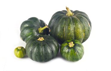 Green pumpkin on white background for isolation