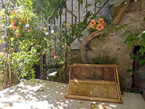 Honeycomb frames in Italian village setting with sunshine. Rural scene.