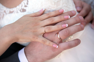 The bride and groom's hands close-up with wedding rings