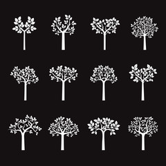Set white Trees and Leafs. Vector Illustration.
