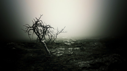 Spooky Tree Dark Night ./Halloween background.