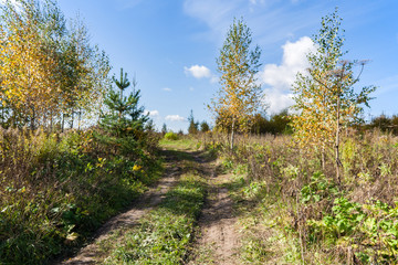 Fototapeta na wymiar Country landscape in warm and sunny autumn day