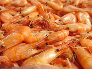 Boiled sea prawns