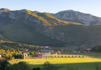 Grazing cow in the village Njegusi at sunset